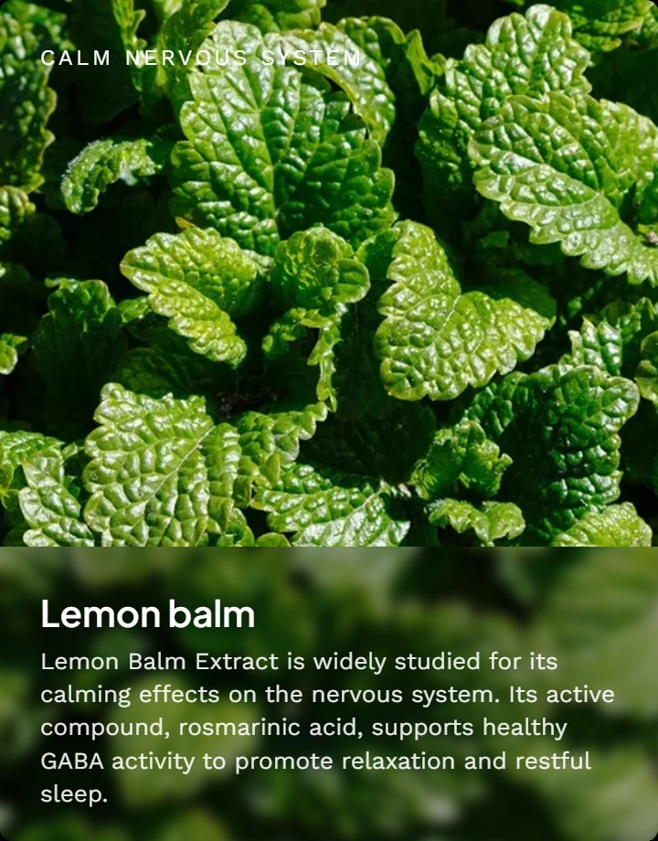 Lemon Balm Extract